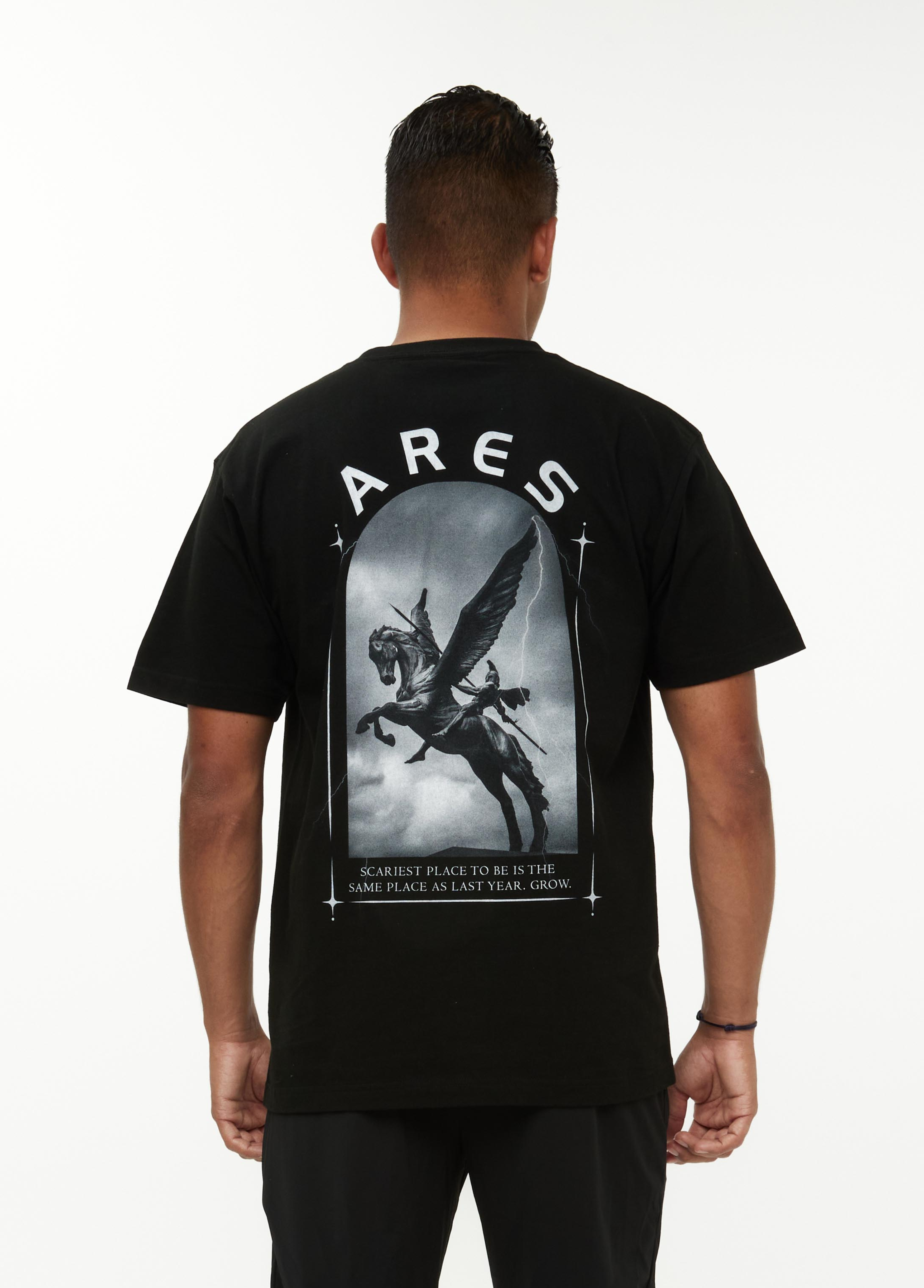 Pegasus Royalty Black Design T-Shirt